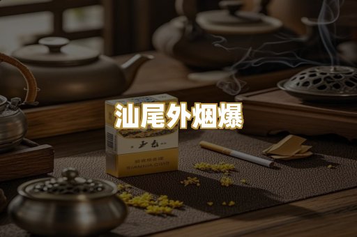 汕尾外烟爆
